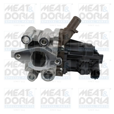 EGR Valve